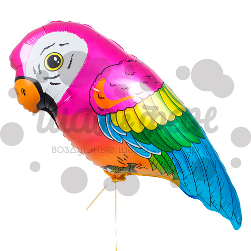 воздушный шар попугай